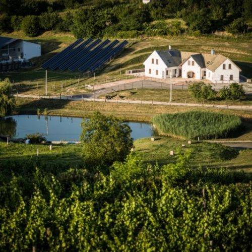 Bodri Pincészet Bodri Pincészet